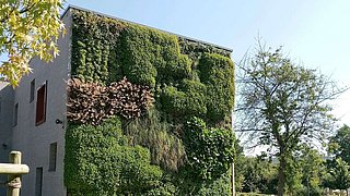 Schulgebäude mit einer vertikalen Fassade, die vollständig mit verschiedenen grünen Pflanzen begrünt ist, umgeben von Bäumen und Rasen.